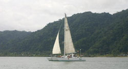 Haiku Charters